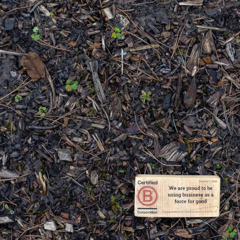 B Corp bark small