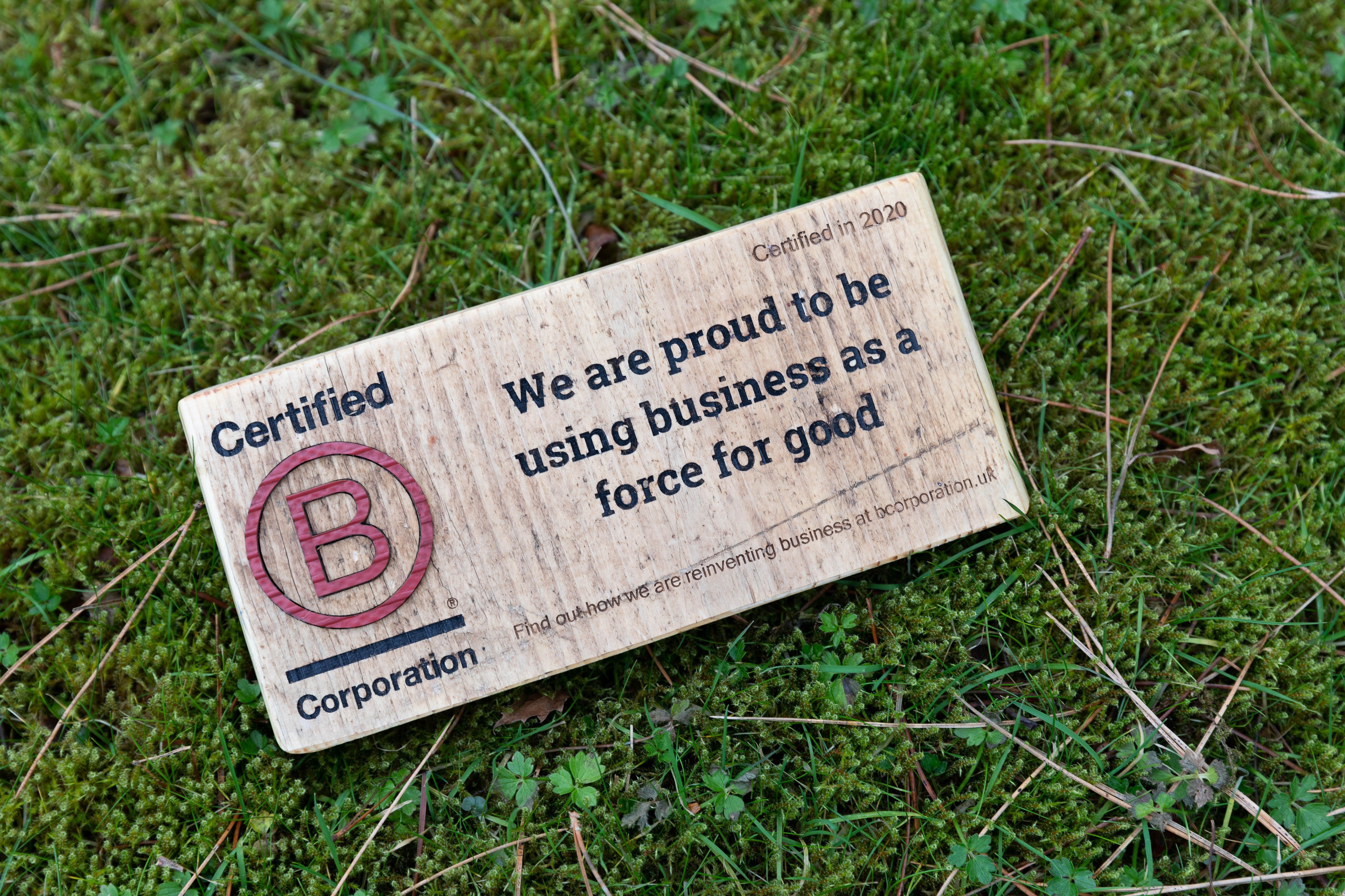 B Corp On Grass